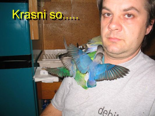 Klikni za ogled veje slike