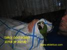 Ime datoteke: 156_5642.JPG
Velikost datoteke: 121kB
Dimenzija: 1024x768
Datum objave: Dec 08, 2005 156_5642.JPG